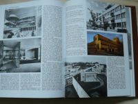 Casson - Dějiny architektury (1993)