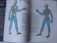 Fleischmann, Linc - Anatomie člověka 1 (1981)