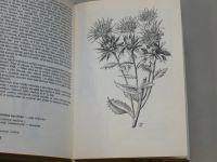 Hron, Zejbrlík - Kapesní atlas - Rostliny polí a zahrad (1974)