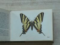 OKO 35 - Moucha - Naši denní motýli (1973)