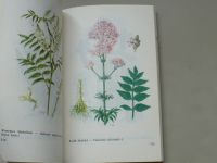 Neubauer, Klimeš, Černá - Léčivé rostliny I. II. - Sbírané léčivé rostliny (1986) 2 knihy