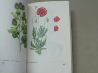 Neubauer, Klimeš, Černá - Léčivé rostliny I. II. - Sbírané léčivé rostliny (1986) 2 knihy