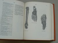 Heinz Feneis - Anatomický obrazový slovník (1981)
