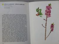 Albert Pilát - Kapesní atlas rostlin (1974) il. Otto. Ušák