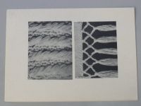 Vkus 74376 - Dámská čepka háčkovaná pecičkovým vzorem doplněná dlouho pletenou šáloum