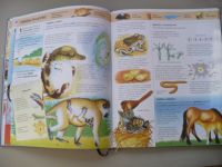 5000 zajímavostí o světě kolem nás - velká školní encyklopedie (2012)
