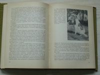 Báča - Výcvik loveckých psů pro praxi (SZN 1973)