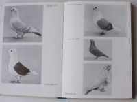 Čermák, Župka - Vzorník plemen holubů (1974)