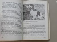 Švec - Malí lovečtí psi - Chov a výcvik (1988)