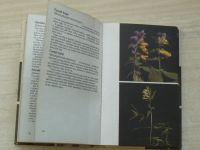Rabšteinek, Poruba - Lesní rostliny ve fotografii (1983)