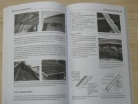 Straka, Novotný - Konstrukce šikmých střech (2013)
