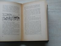 Ondřej Přikryl - Dule z hroške - Obrázek z Hané okolo půlke XIX. století (1928)