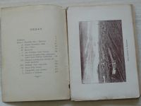 Bauer - Podzemní žaláře na brněnském Špilberku (1888)