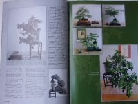 Bonsai 4. Časopis pro milovníky přírody a bonsají (2004)