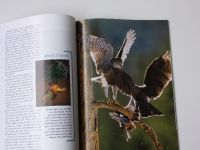 National Geographic - Česká republika (leden - prosinec 2003) 12 čísel