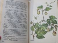 Korbelář, Endris - Naše rostliny v lékařství, il. Krejča (1990)