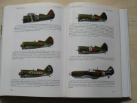 Šedivy, Dymič - Triumf a tragédie - Sovětští stíhací letci v bojích II. sv.války (2001)