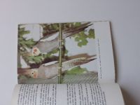 Dientsbier - Cizokrajní ptáci v klecích - Korely (1980)