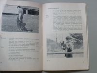Tereza Světecká-Bartáková - Základy výcviku psa se zaměřením na výcvik malých plemen (1985)