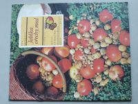 Sešity domácího hospodaření 150 - Eva Šafářová - Jablka, ořechy, med (1988) 