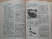 Grolig a kol. - Zootechnický slovník (SZN 1963)