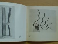A. Nievaldová - Grafika, Kované plastiky - Přemysl Omrt (1990) katalog výstavy