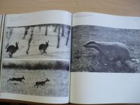 Lange - Tierfotografie (1985) německy