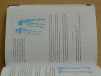 Dylevský - Základy funkční anatomie (2011)
