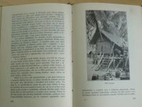 Sebrané spisy Jana Havlasy XXI. - Malajské léto (1926)