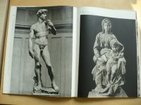 V. Volavka - Michelangelo (1965)