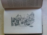 Albieri - Stráž na Rýně - Románový příběh z velké doby (1885)