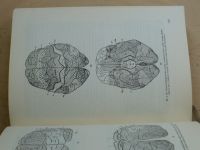Kurz - Ofthalmo-neurologická diagnostika (1956)