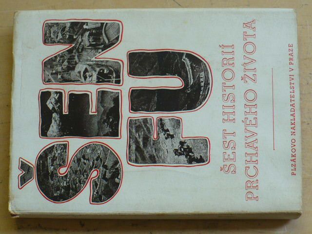 Šen Fu - Šest historií prchavého života (1944) obálka a kresby Toyen