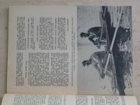 Lodní sporty 11 (1956) ročník VIII.