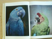Dathe - Príručka pre chovatelov vtáctva (1978) Papagáje, holuby