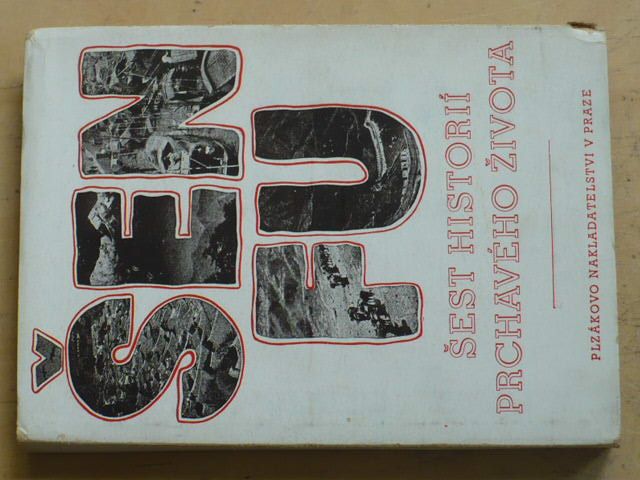 Šen Fu - Šest historií prchavého života (1944)