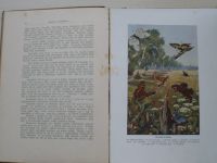 Bauše - Pohledy do říše živočišné (1910)