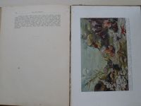 Bauše - Pohledy do říše živočišné (1910)