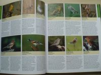 Bellmann - Velká kniha o zvířatech - 1000 druhů středoevropských druhů (2008)