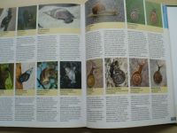 Bellmann - Velká kniha o zvířatech - 1000 druhů středoevropských druhů (2008)
