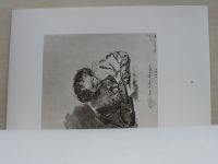 Handzeichnungen grosser Meister - Rembrandt