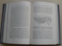 Friedberger- Lehrbuch von klinischen Untersuchungsmethoden für Tierärzte und Studierende (1912)