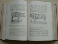 Marek - Diagnostik der inneren Krankheiten der Haustiere (1912)