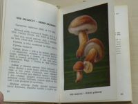 Smotlacha, Novák - Houby v přírodě a kuchyni (1969)