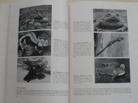 Olberg - Tierfotografie (1955) Fotografie zvířat, německy