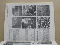 Základní kurz fotografie (1994) Fotografická praxe krok za krokem