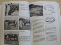 Paalman - Skokové ježdění - Výcvik jezdce a koně pro skokový sport, parkur (1998)