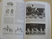 Paalman - Skokové ježdění - Výcvik jezdce a koně pro skokový sport, parkur (1998)