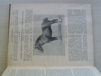 Chov hospodářských zvířat 1-12 (1910) ročník IX.