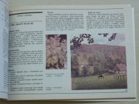 Učebny pod širým nebem - Stručný průvodce po naučných stezkách státní ochrany přírody v ČSR (1982)